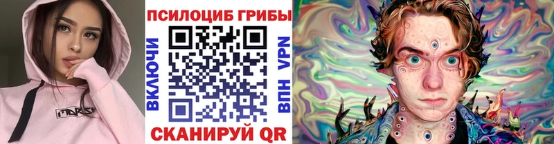 продажа наркотиков Дальнереченск это Telegram Псилоцибиновые грибы MAGIC MUSHROOMS МЕГА маркетплейс
